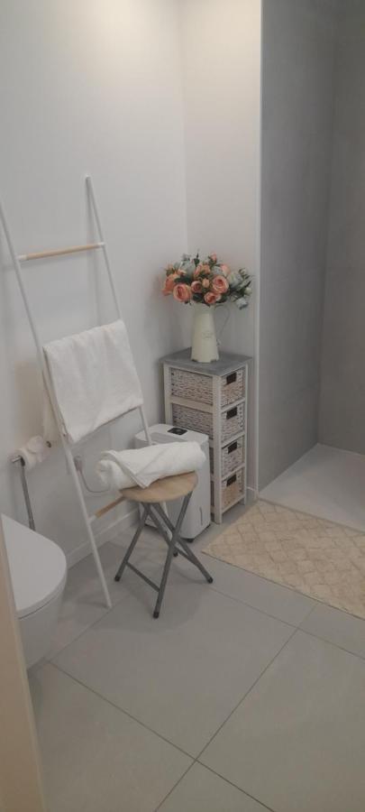 אבאירו Light Brown Central Apartment מראה חיצוני תמונה